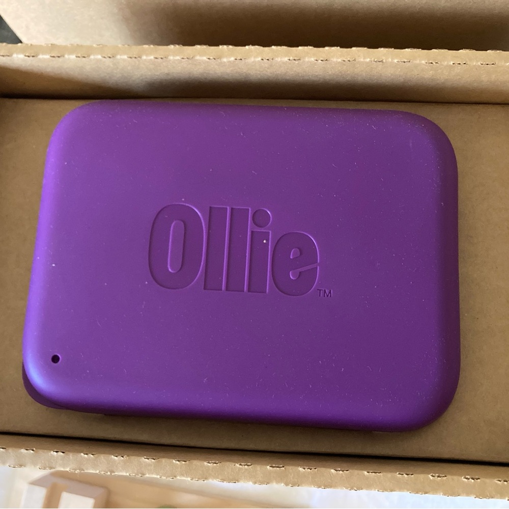 Ollie purple bamboo fiber & Silicone food Case